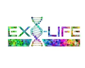 Ex Life 1